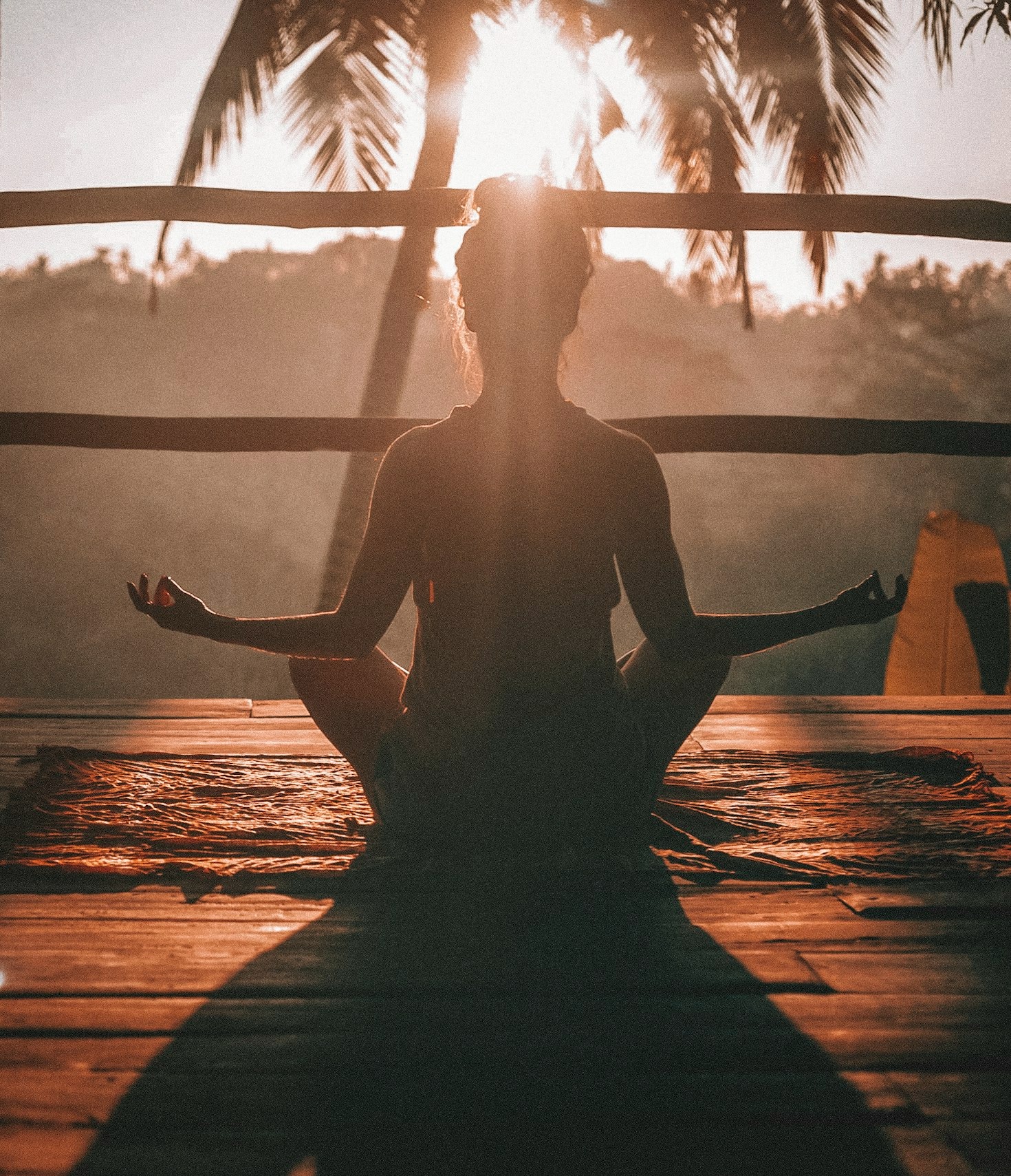 The Art of Choosing Life Daily
